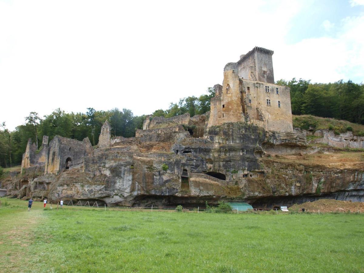 Cozy Cottage In Aquitaine With Private Swimming Pool Peyzac-le-Moustier Экстерьер фото